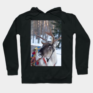 Santa Claus Reindeer Hoodie